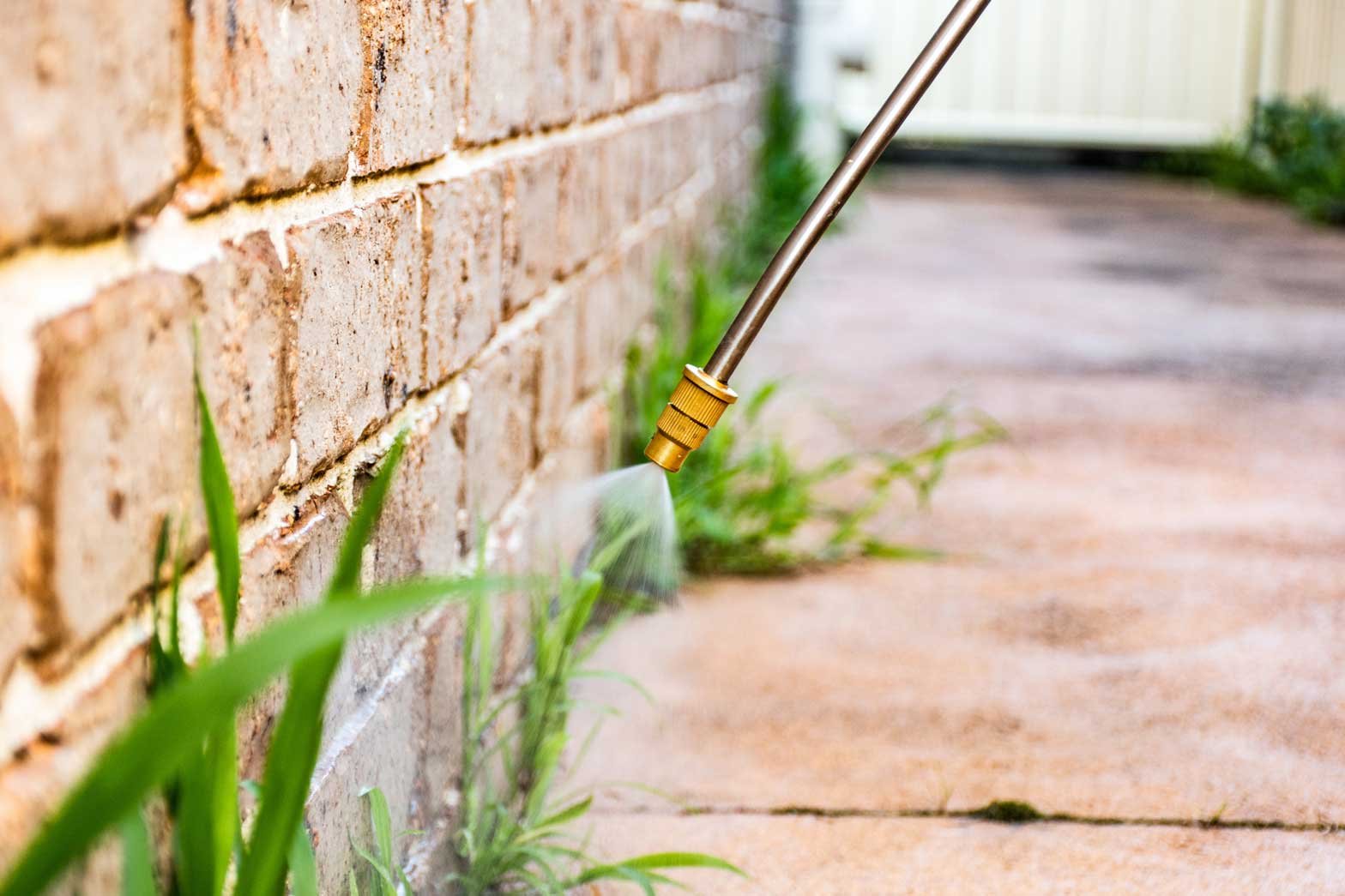 A herbicide spray directed at weeds growing between a path and a building wall